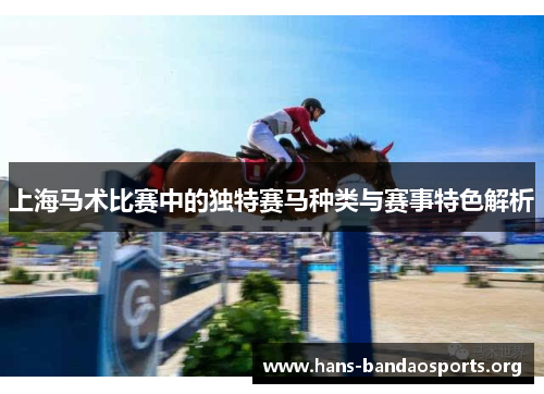 上海马术比赛中的独特赛马种类与赛事特色解析