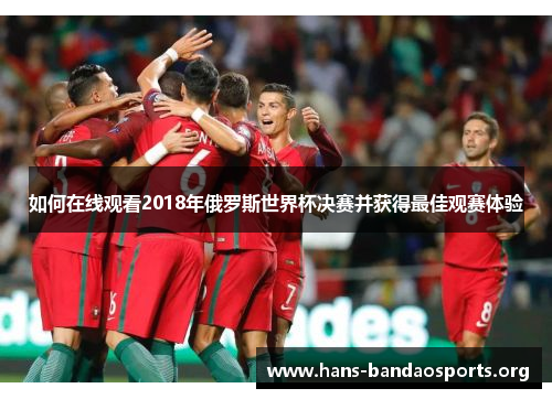 如何在线观看2018年俄罗斯世界杯决赛并获得最佳观赛体验