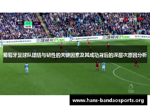 葡萄牙足球队团结与韧性的关键因素及其成功背后的深层次原因分析